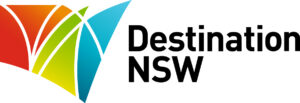DST_NSW_FC_GRAD_HOR_2L_POS